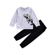 Boy Sweatshirt Outfits Long Sleeve Dinosaur Top Pants Sweatsuit 2PCS Fall Win...