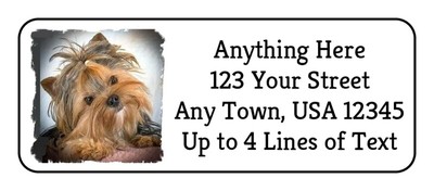 60 Yorkie #24 Yorkshire Terrier Dog GLOSSY Photo Quality Return Address ...