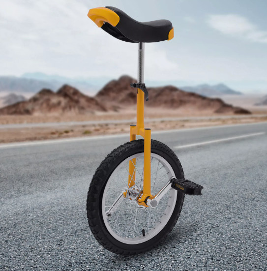 16inch / 24inch Wheel Unicycle Balance Fitness Exercise Adul