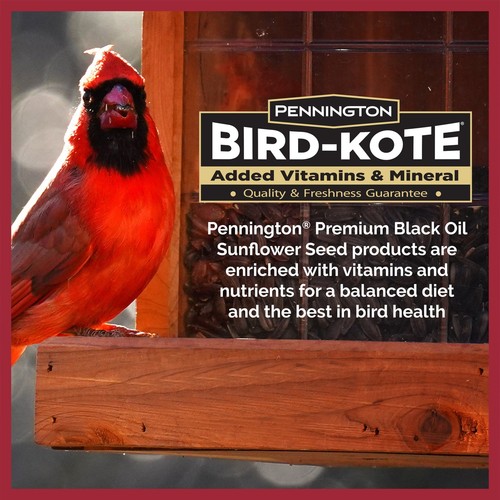 Select Black Oil Sunflower Seed Dry Wild Bird Feed, 20 lb. Bag, 1 Pack - Picture 5 of 15