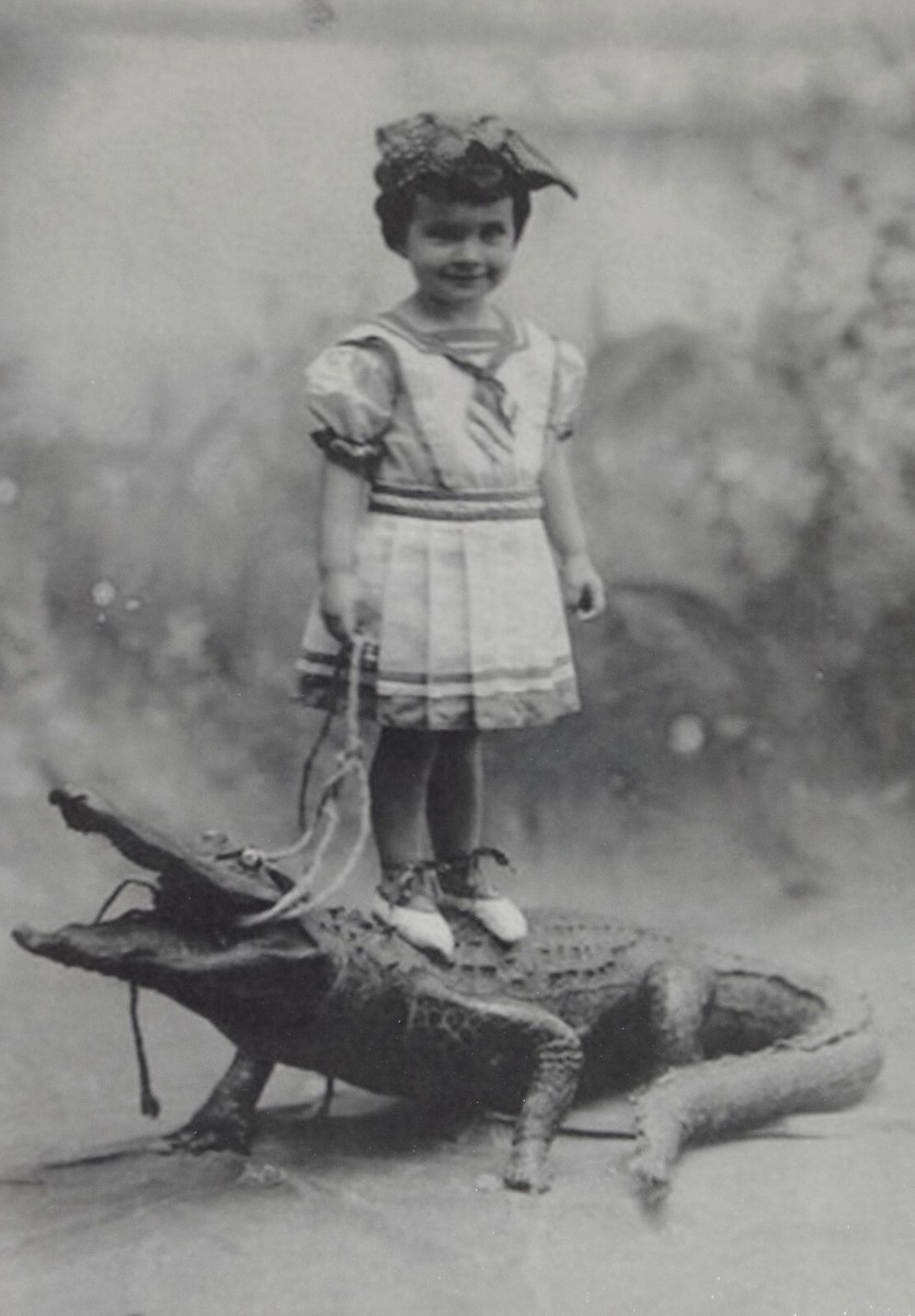 80’s Creepy Bug / セクターズ 1980s Creature Toy Line 'Sectaurs' Making a Comeback