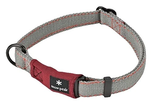 Collares para Perro de Neopreno