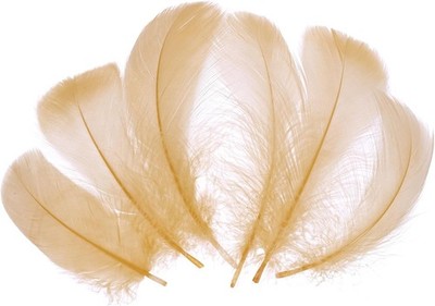 300 Pcs Khaki Craft Feathers for DIY, 2-4 Inch, Perfect for Decorations