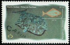 Canada sc#1642 Ocean Water Fish: Pacific Halibut, Mint-NH
