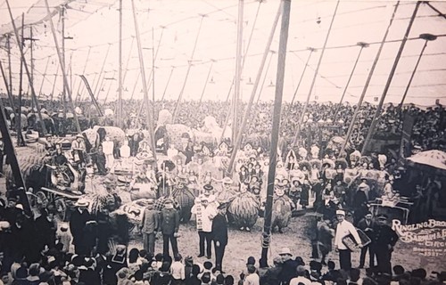 1931 Photograph Of Under Ringling Bros & Barnum Bailey Circus Tent. #-3816 - Picture 7 of 12
