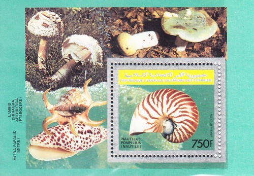 CO COMORO 0782 MUSHROOMS - 第 1/1 張圖片