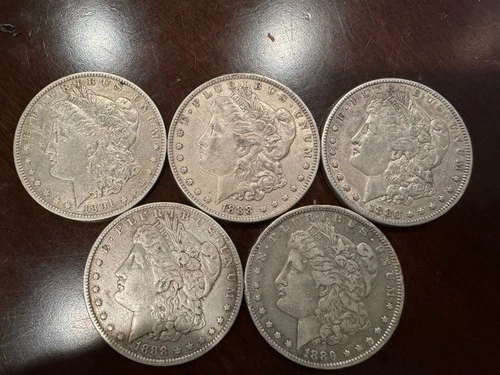 5 Different Dates Silver Dollar Lot All VF/XF
