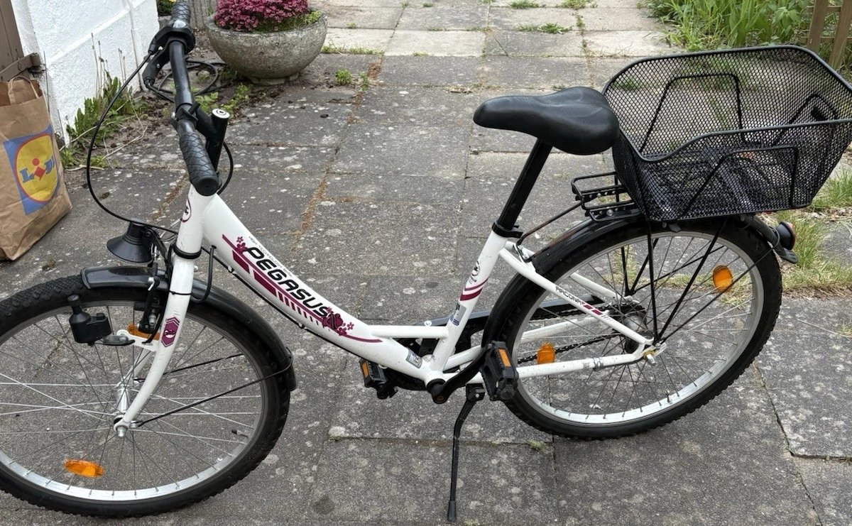 fahrrad-anhnger CUBE Kinder Fahrradanhnger Double CMPT