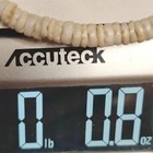 Bild 11 von 11