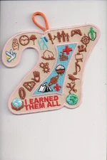 I Earned Them All patch