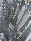 Bild 6 von 11