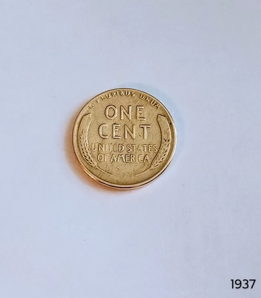 Centavo de trigo Lincoln a prueba 1937 Foto 2 de 2