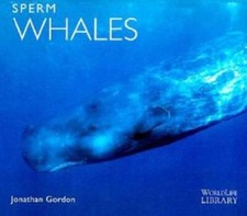 Sperm Whales (Worldlife Library) - Paperback By Gordon, Jonathan - GOOD