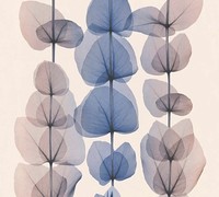 4 Rollen As Creation Vliestapete BläTter-Muster 34245-5 8A 0,59€/Meter