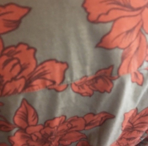 Cold Water Creek PM Brown Orange Button Down Cotton Top Blouse Shirt Petite Med - Picture 5 of 7