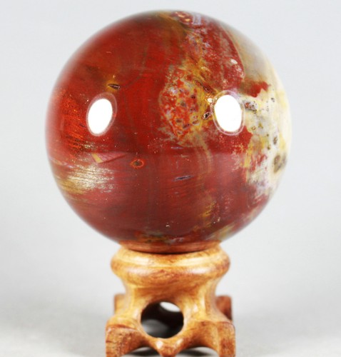 A 295g PETRIFIED WOOD AGATE Crystal With Rose Wood Stand From Madagascar - Picture 2 of 12