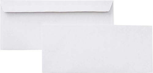 #10 Security-Tinted Self-Seal Business Letter Envelopes, Peel & Seal Closure - 5