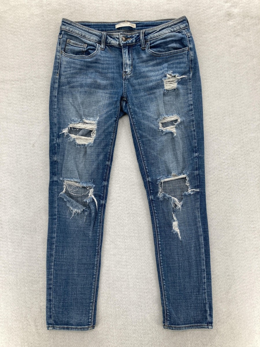 Womens Jeans Daytrip Jeans Lynx Straight Buckle Daytrip Jeans