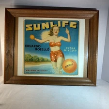 Vintage Sunlife Eduardo Rosello Valencia Orange Spain Fruit Crate Label