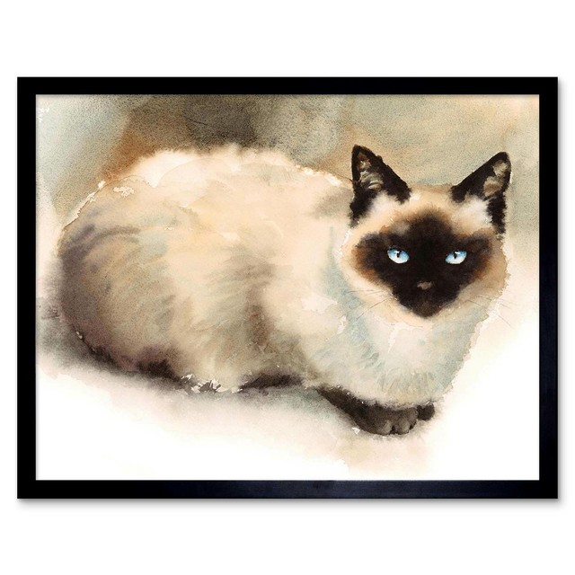 Cat Ragdoll Watercolour 12X16 Inch Framed Art Print eBay