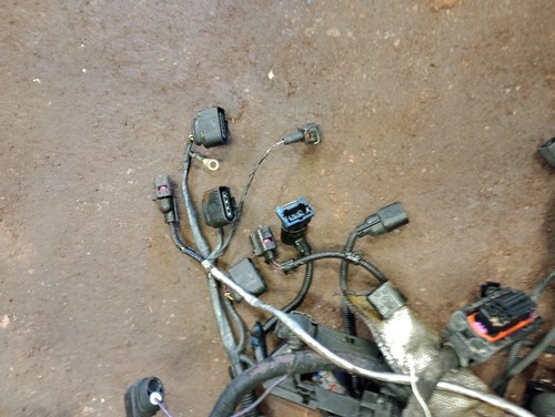 AUDI TT 1.8T BAM Engine Management Wiring Loom +LAMBDA APX? GOLF CONVERSION - Picture 2 of 24