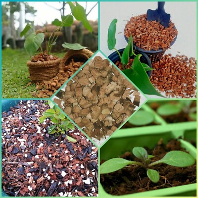 Coconut Husk Chips Orchids Anthurium Growing Dry Organic Media Free Shipping
