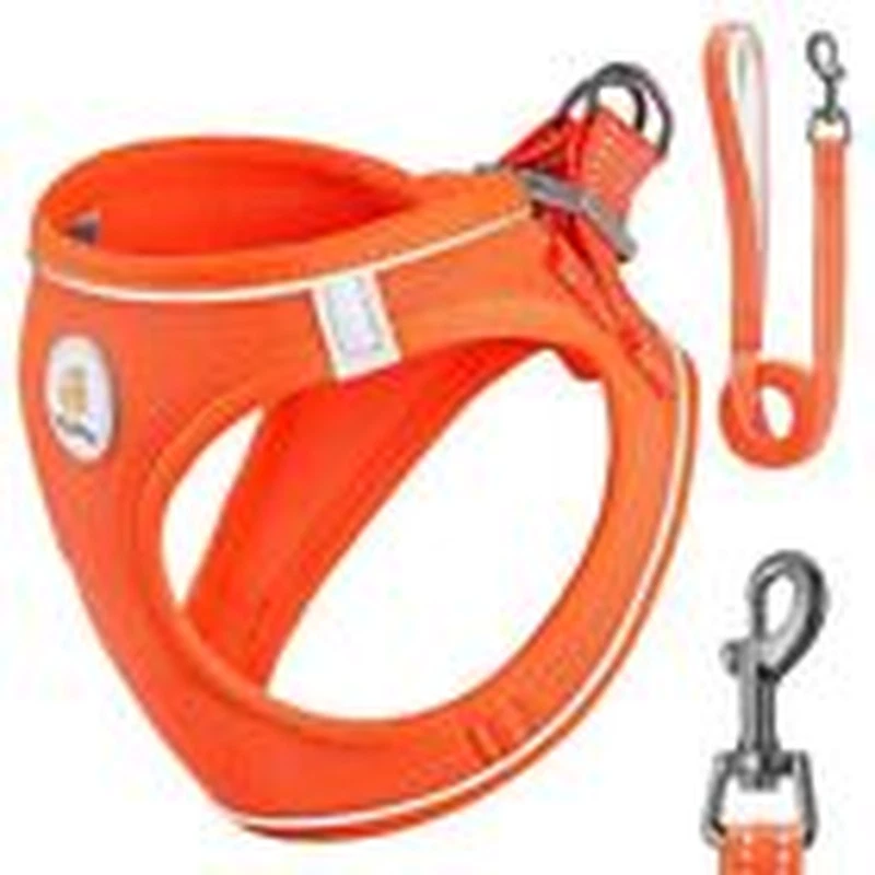 Dog Harness with Leash Set, X-S(9.5-10.5"N