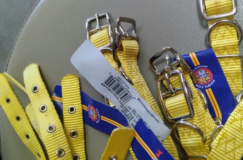 Hamilton Products 3/4” Yellow Nylon Dog Collar 18” Deluxe Buckle - Lot of 7 - Picture 3 of 3