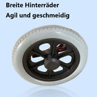 Bild 12 von 13