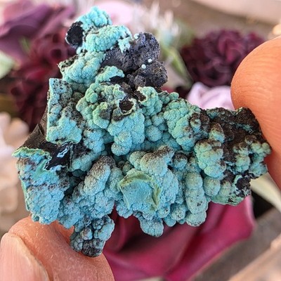 Chrysocolla Rock Specimen | Planet Mine, Arizona | Natural Raw Blue Color Stone