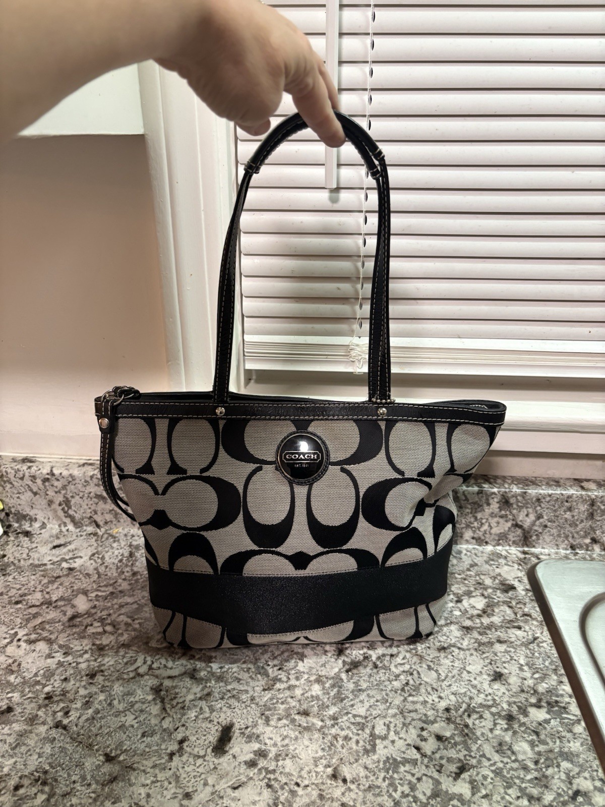 Coach Black and Gray Signature Tote Bag