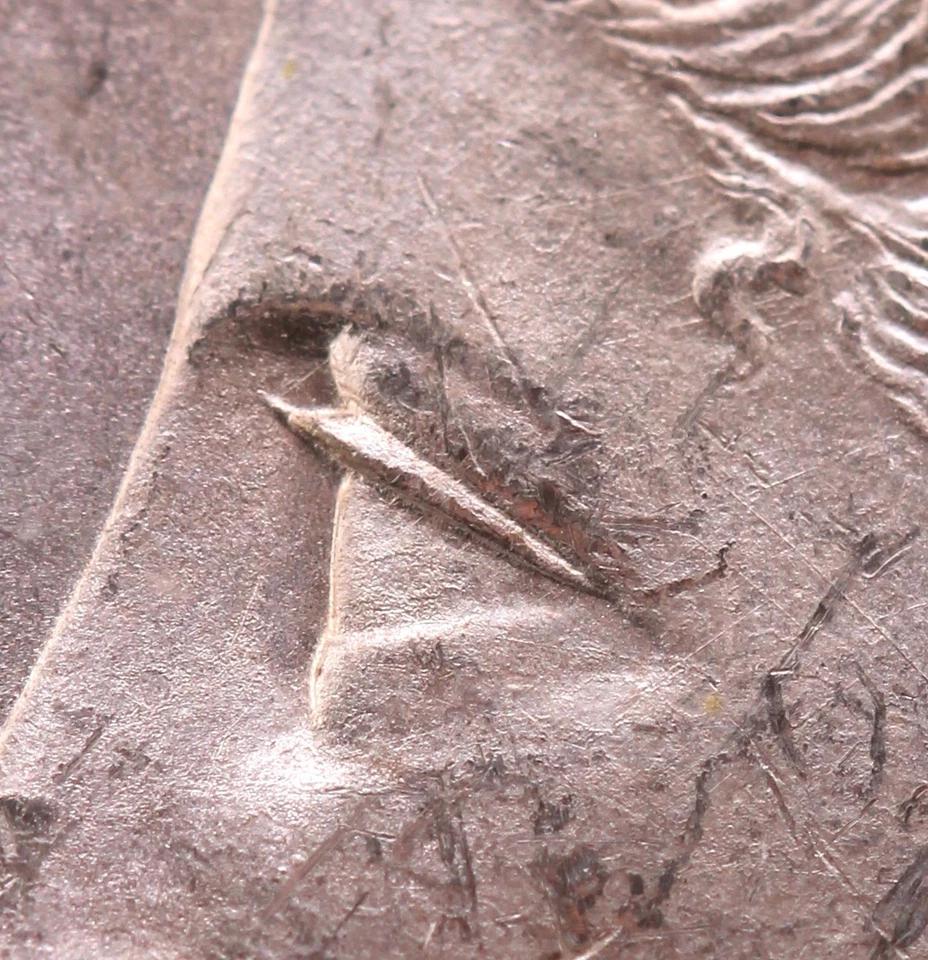 1878 7TF R79 $1 PCGS MS 63 CAC VAM 203 "Short Leaf" (TOP 100) - Image 4 of 4