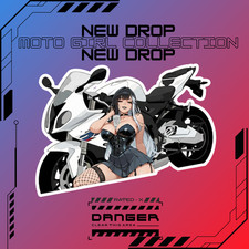 Motorcycle Goth Girl Sticker Decals 3 X 4 Motorcycle Goth Girl Sticker Decals 3 X 4