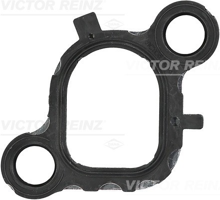 Fits REINZ USZCZELKI 71-36076-00 GASKET, INTAKE MANIFOLD  ⭐UK Stock⭐