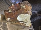 Huge 29 Pound Raw Natural Oregon Fire Opal Rough Specimen, ￼ — photo 5