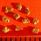 10 GOLD NUGGETS Alaska 1mm Gold Nugget Gold Bar Gold Coin Bar Gold Nuggets!