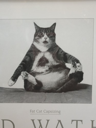 Richard Watherwax Fat Cat Capsizing, 1988 Framed Print, Kennedy Studios Key West - Picture 8 of 23