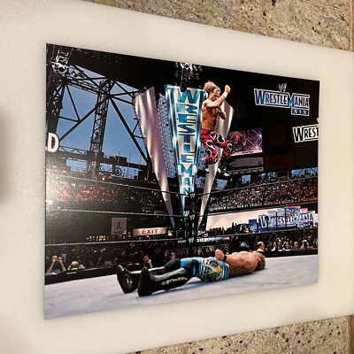 WWE Poster Print Shawn Michaels v Chris Jericho Wrestlemania 19 Pro 11  x 14 