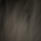 Bild 10 von 15