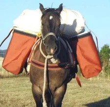 Utah Panniers - Iron Cloth (Orange) or Canvas (White)