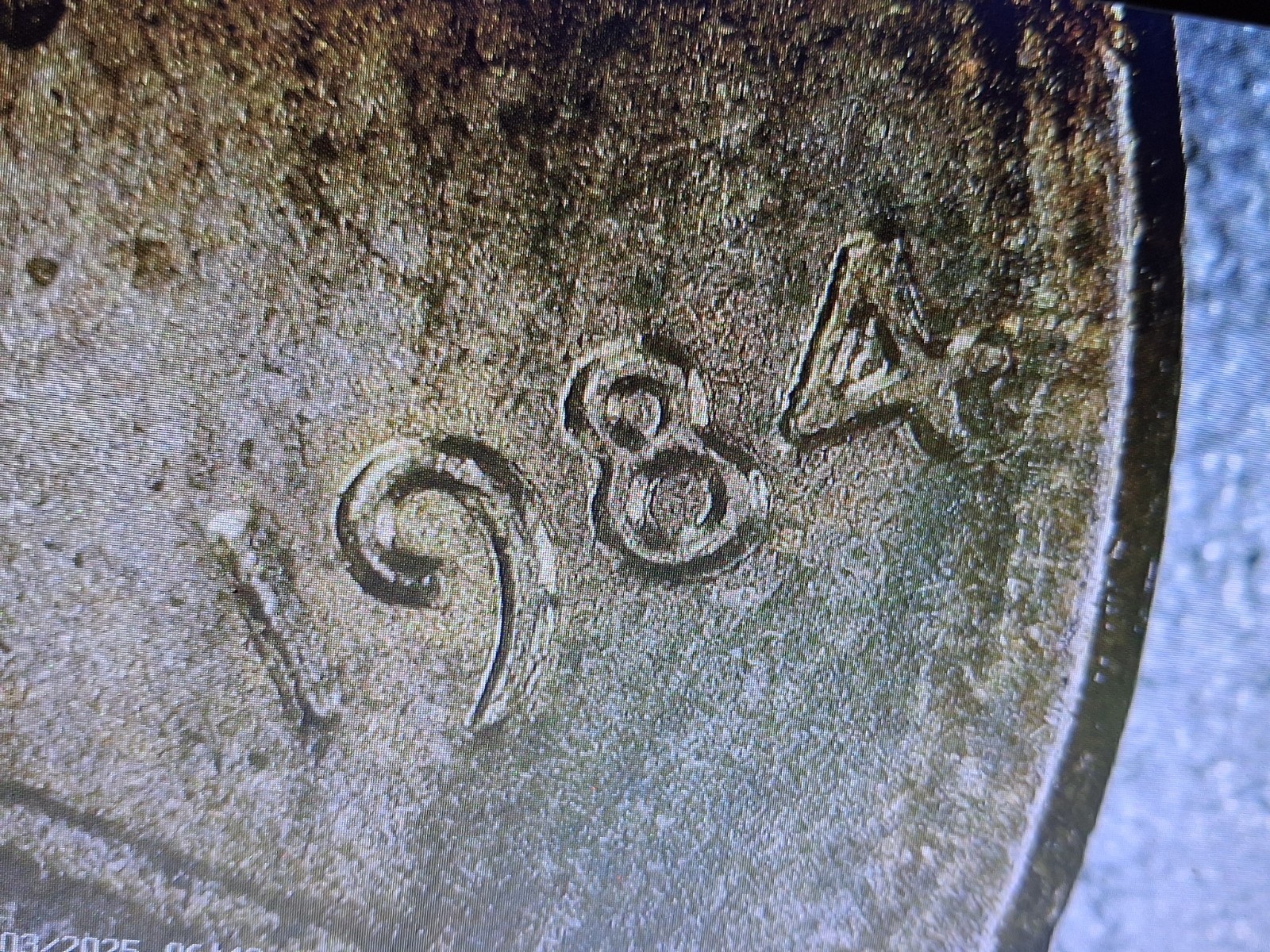 Picture 3 of 16