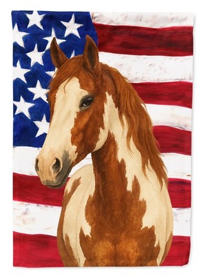 Paint Chestnut Overo American Flag