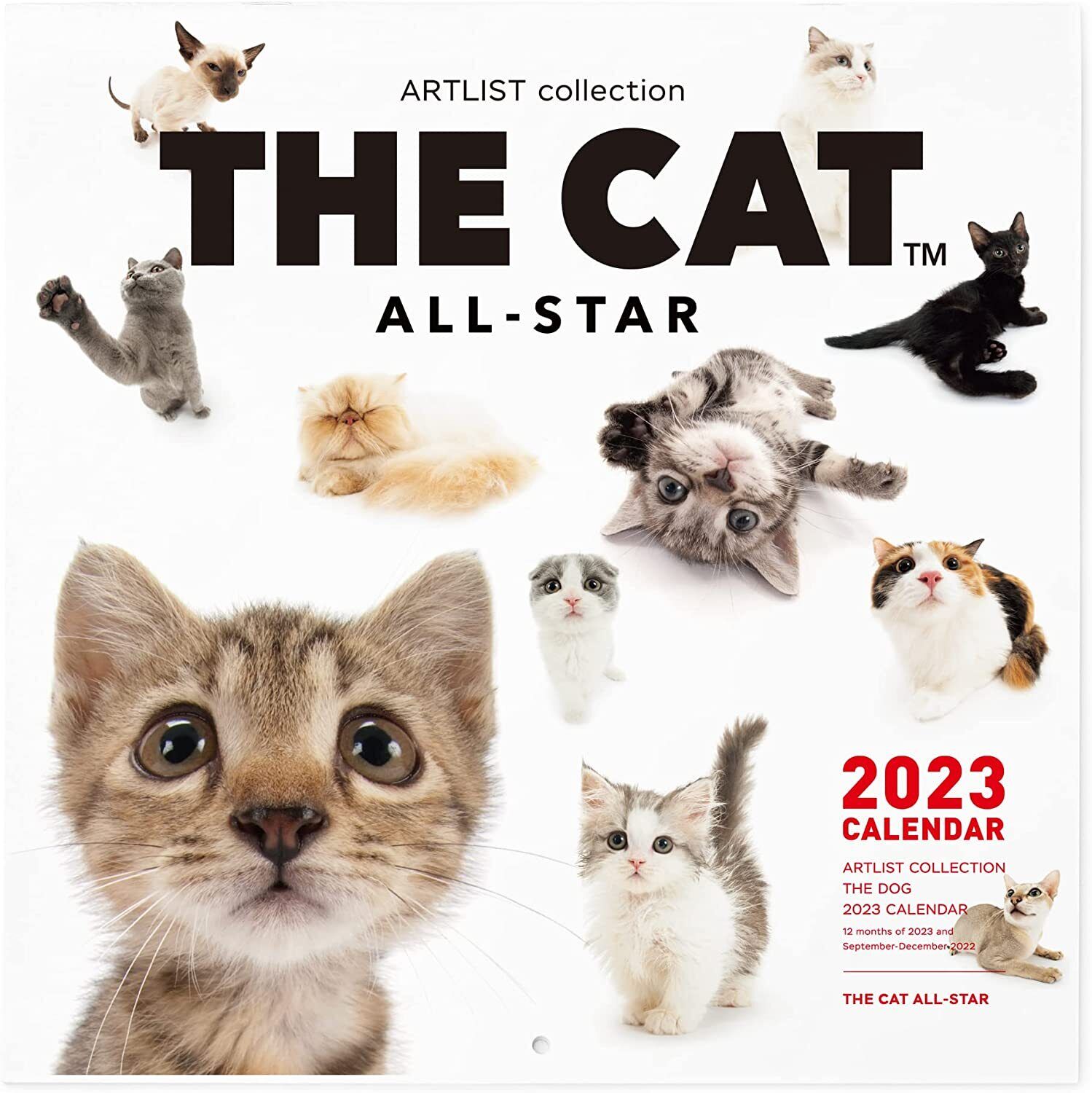 Tony Teddy Large 2023 Cat Calendar