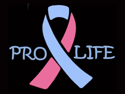 Ribbon Pro Life Anti Abortion 3x4 Metal Fridge magnet 8603