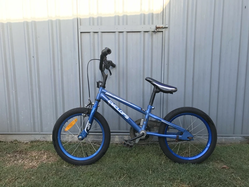 cyclops bike trailer