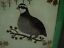 miniatura 3  - Vintage Podpisana folia cynowa Sztuka ludowa Odwrócony malowany przepiórczy obraz ptaka Blichtr
