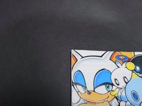 Sonic Adventure 2 case manual back inlay back jacket Dreamcast SONIC Japan 2m