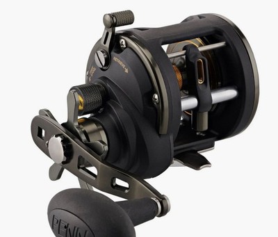 Penn Squall II  Conventional Reel Size 50 SQLII50LW