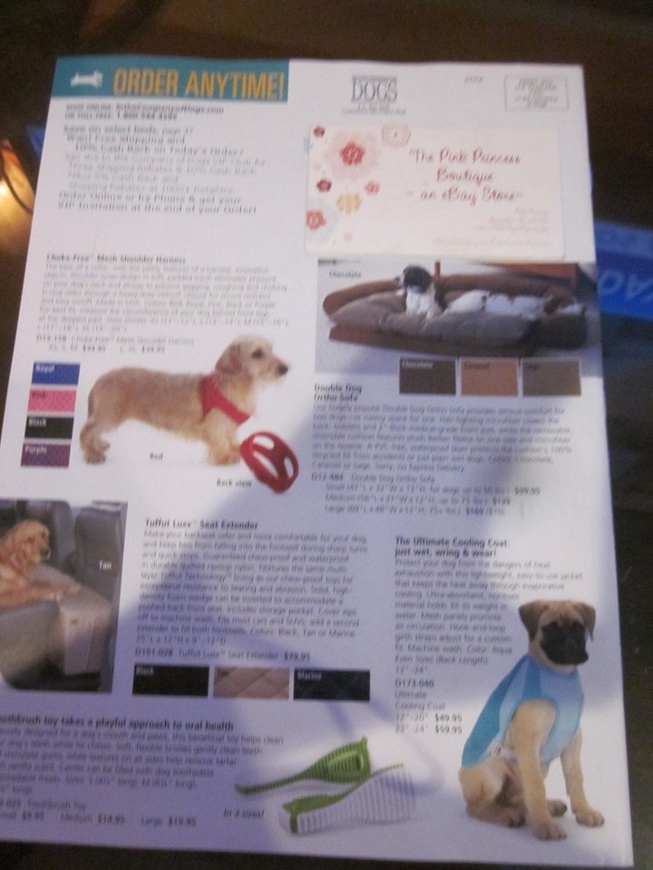 In The Company of Dogs Early Summer 2017 Catalog Bella FlatCoated