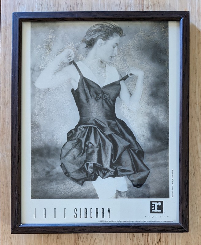 Jane Siberry 1988 Reprise Records Photo Credit George Whiteside Framed Vintage